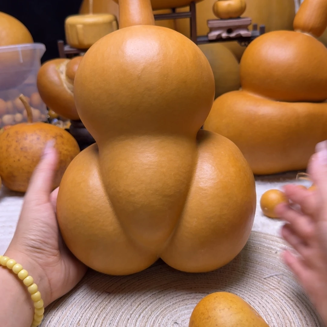 风***浅厚皮大金蝉嘎嘎漂亮