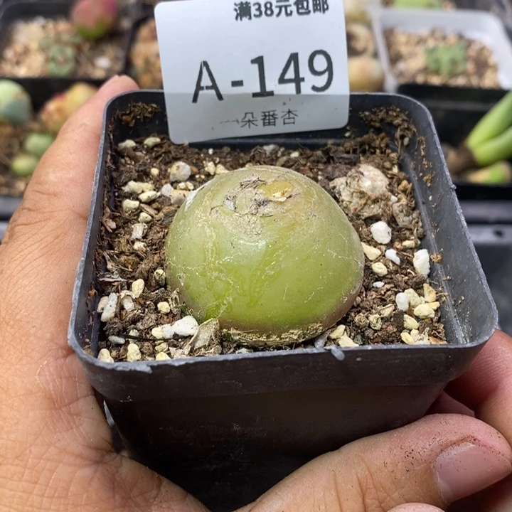 炫****士566696999999999999998