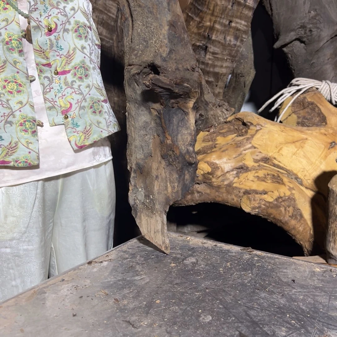 金丝楠陈*2222222222