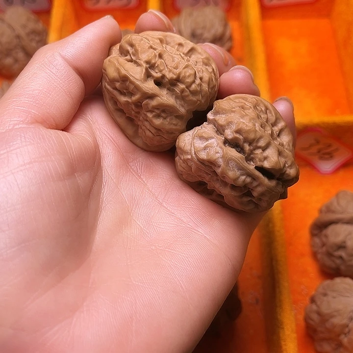 核桃涞水山地果蛤莫头37尺