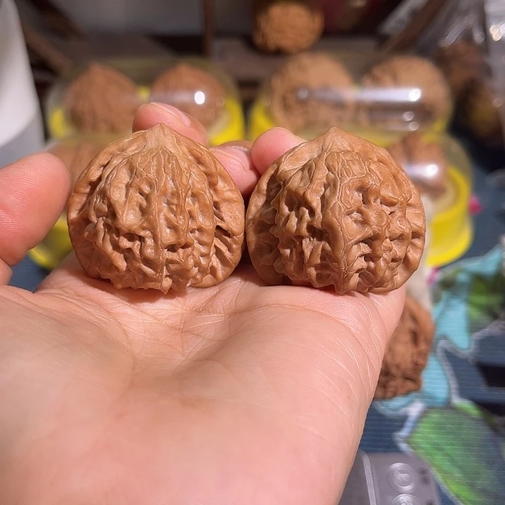 核桃金三角老树野生