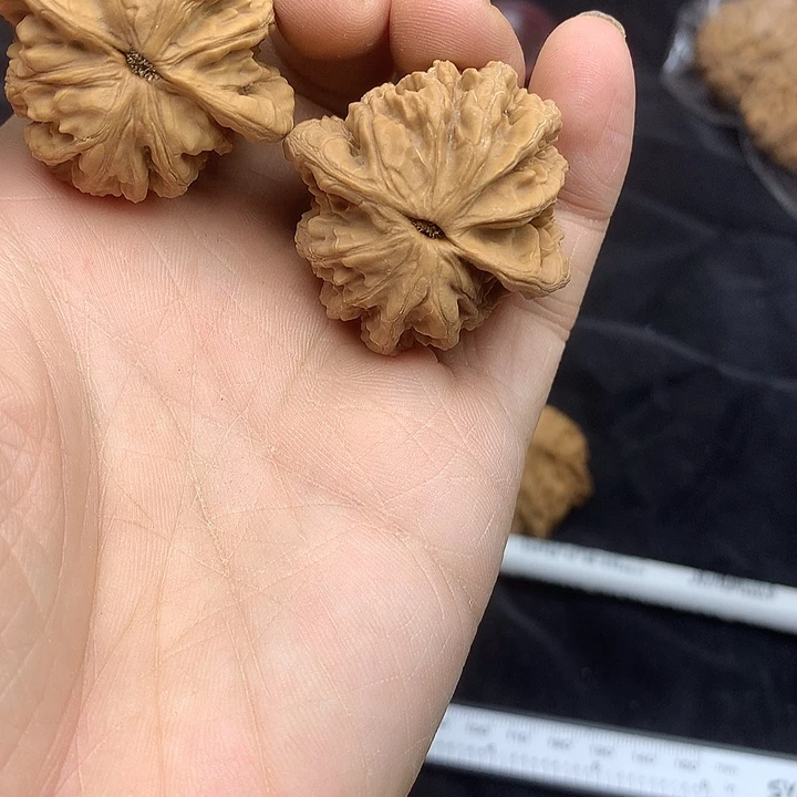 吊坠文玩核桃38 麦虎