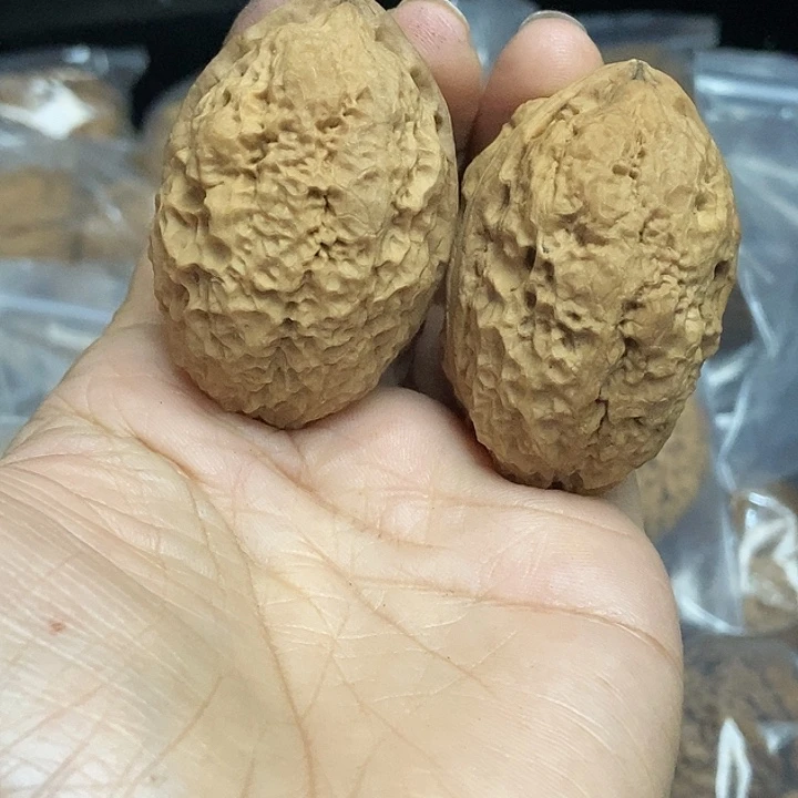 木质类云南铁核桃基地77