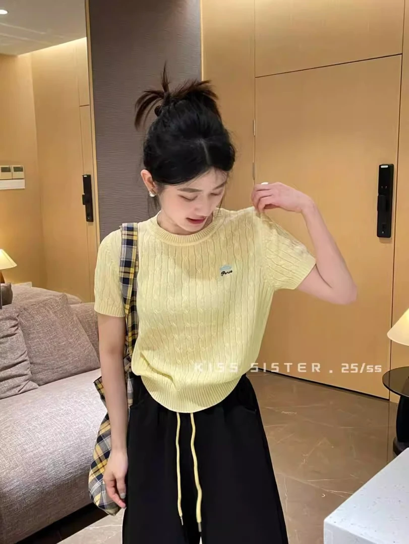 韩版2025春夏季女装新款百搭设计刺绣麻花修身显瘦休闲针织衫8048