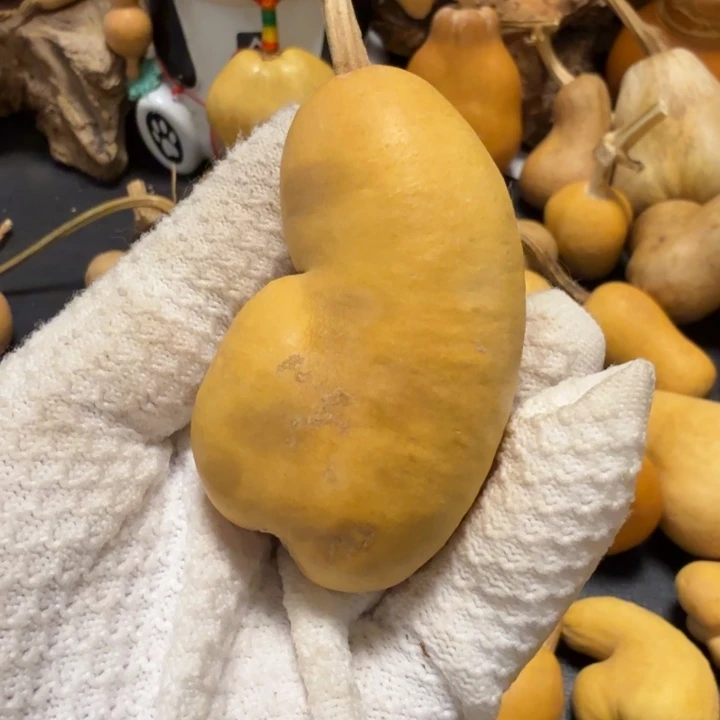 中***邢666666666666666667777