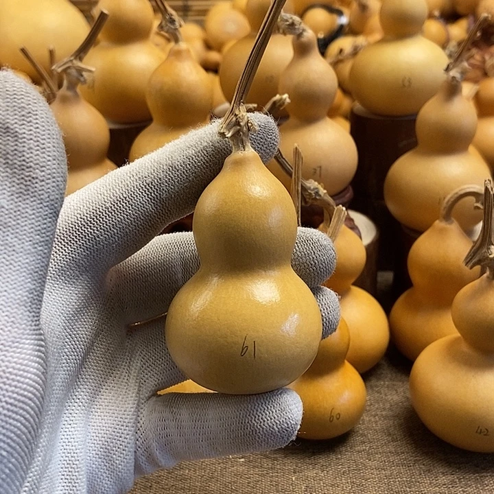 文玩葫芦 完美主义者 慎拍61