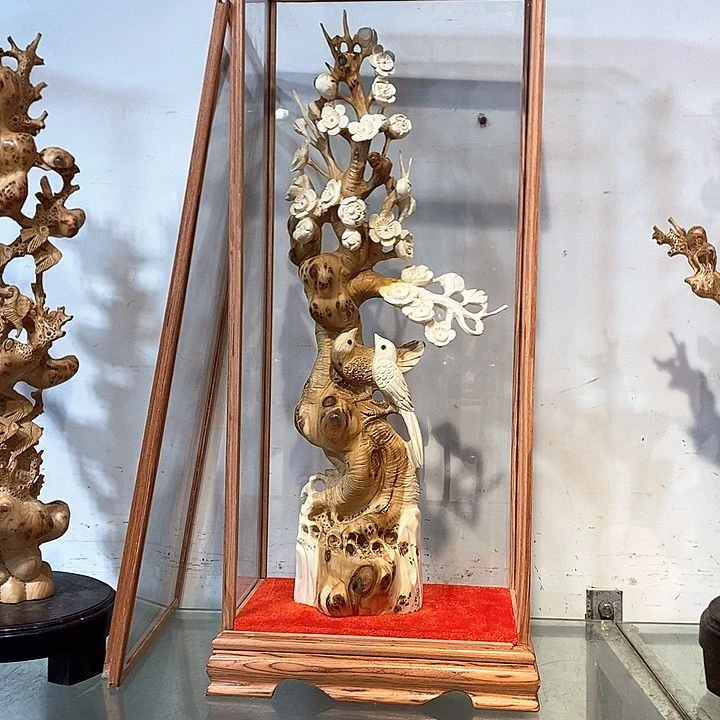 柏木（崖柏）太行wa' a