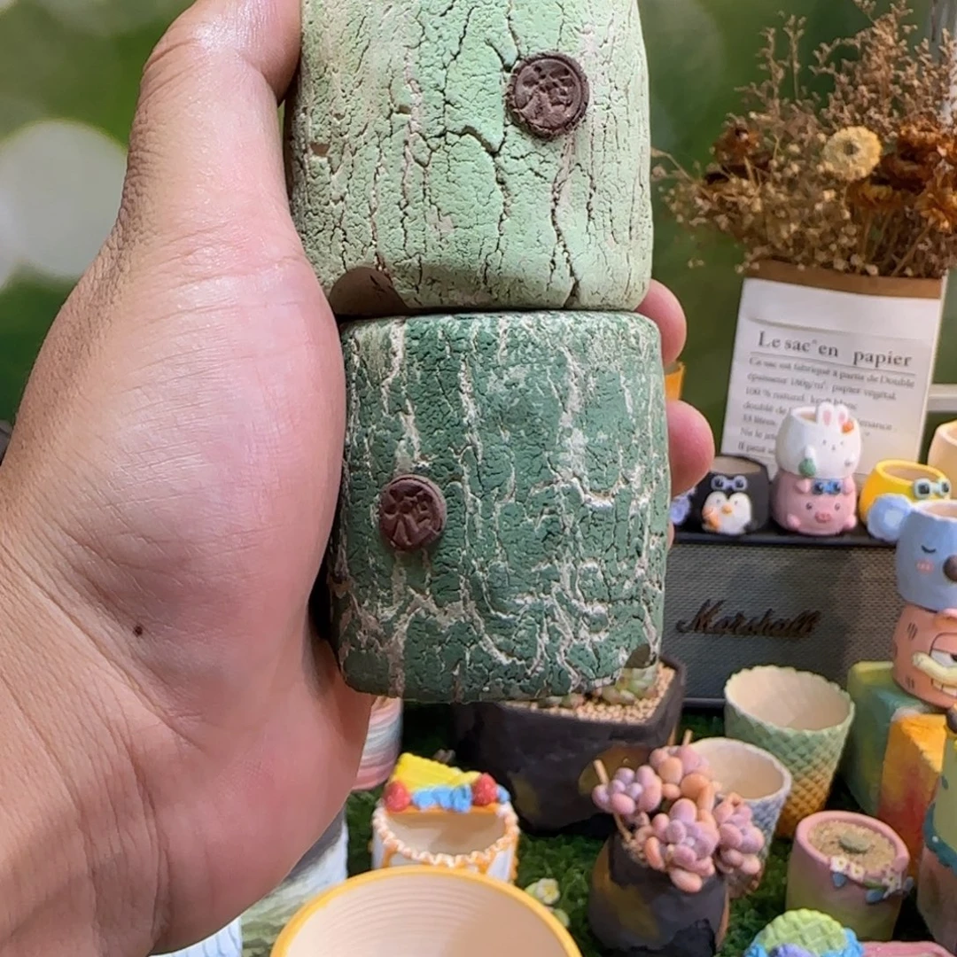 月***惺惺相惜的点点滴滴行