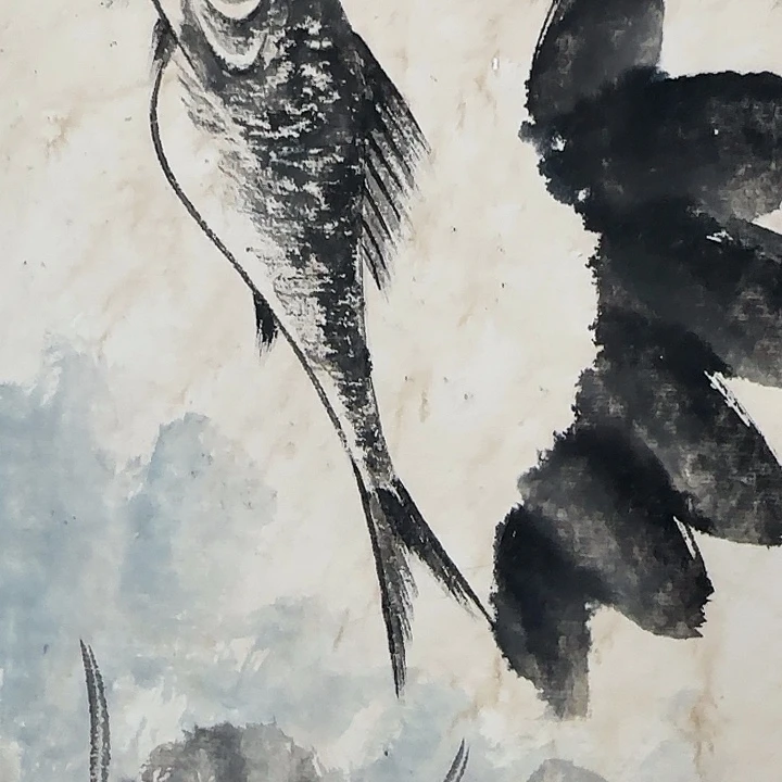 绘画用****6花鸟作品，精品挂画