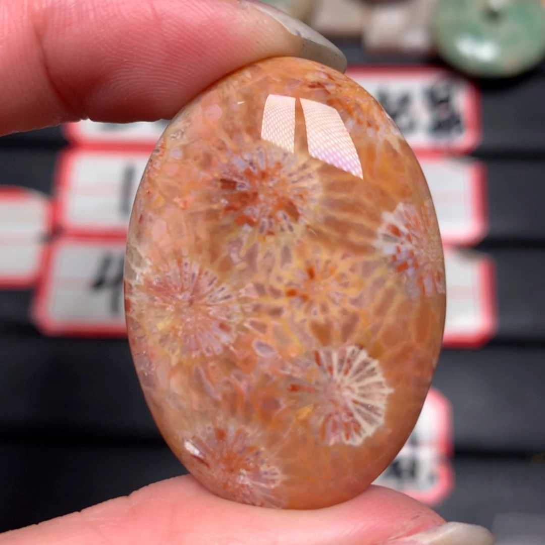 【闪购商品】硅化玉颈饰合金用****1