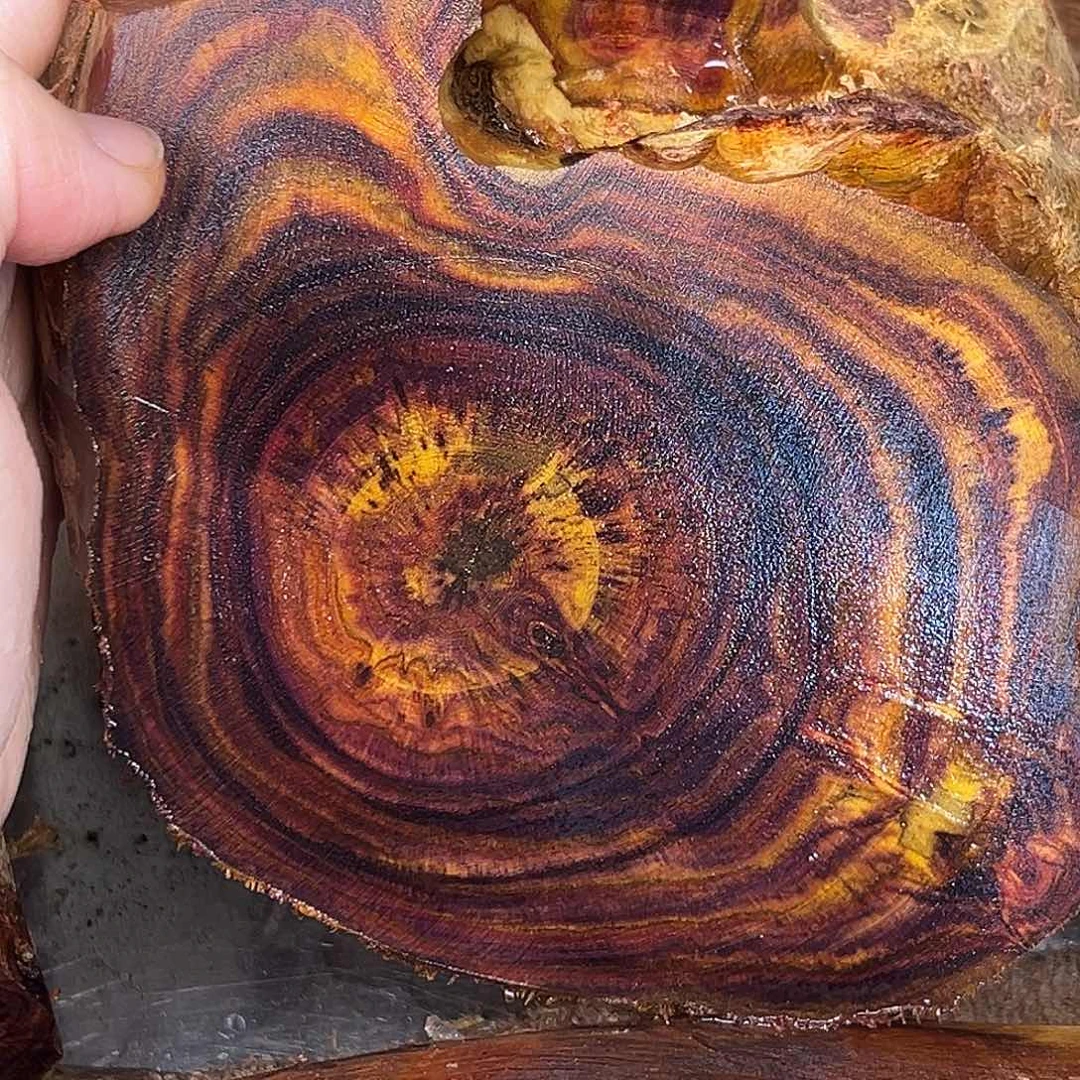 老***子黄花梨/降香黄檀手串15