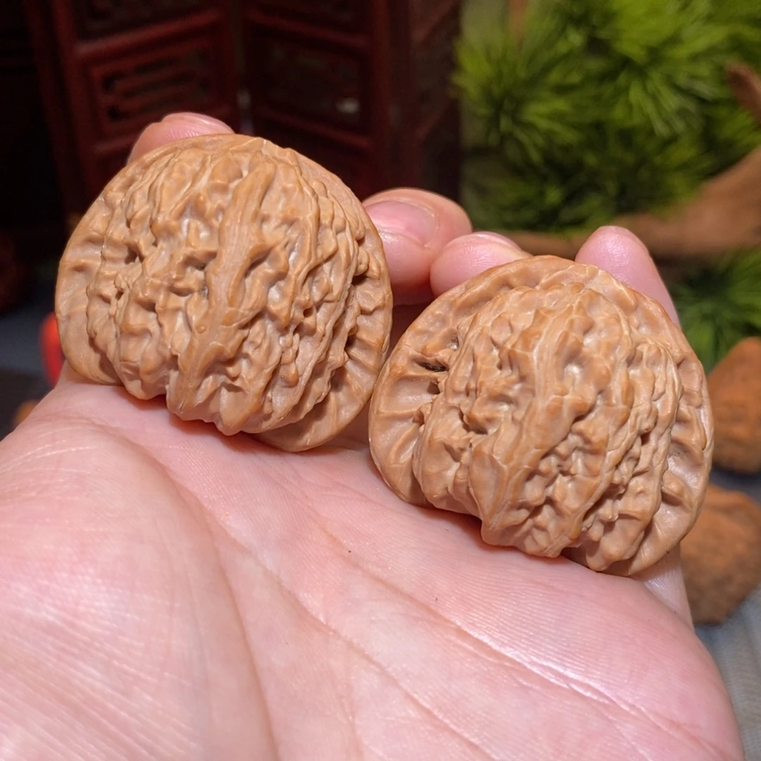 42尺 全品无修白茬 球白