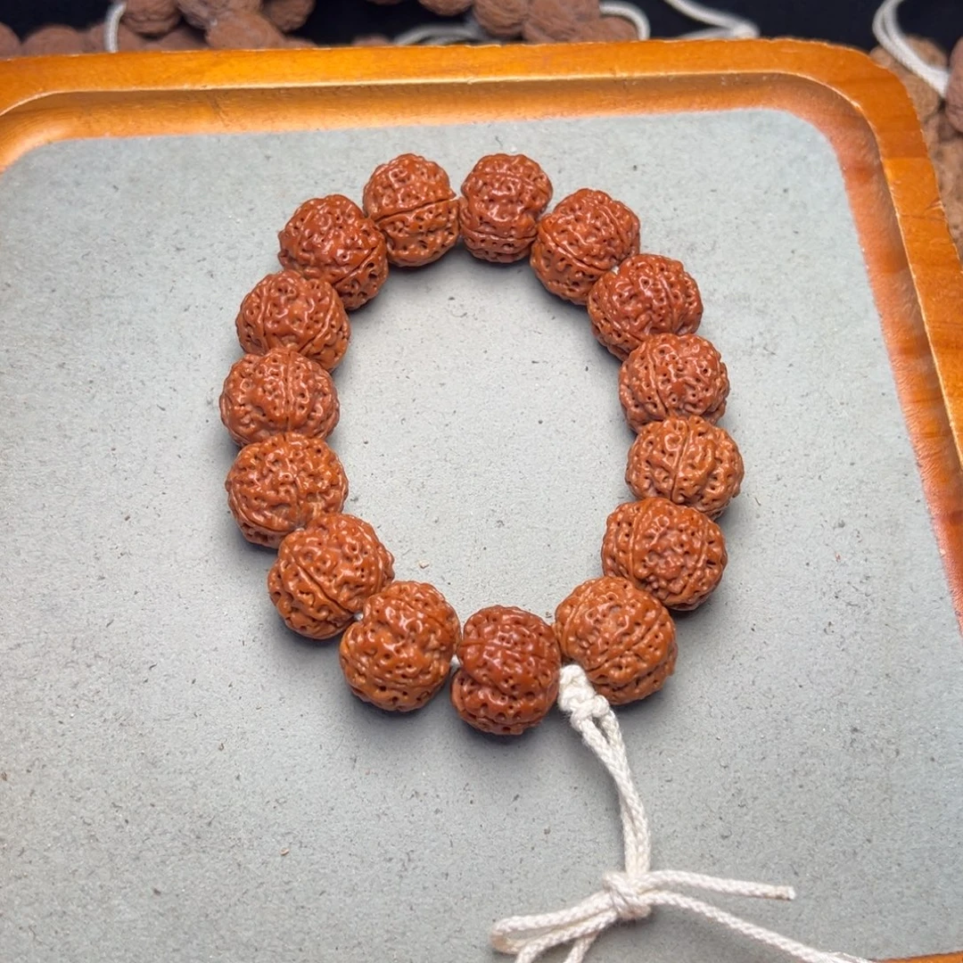 菩提33号金刚菩提安娜蜂窝21