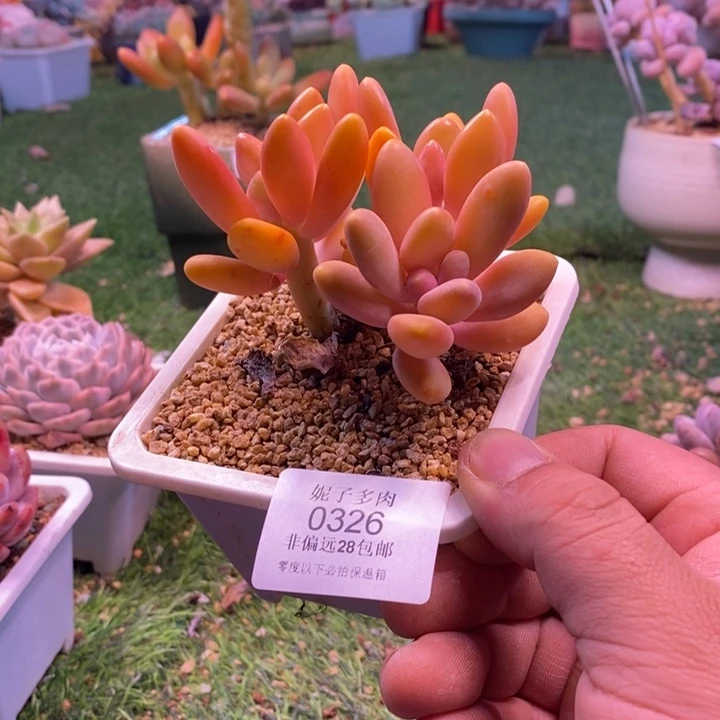 0326啊啊啊啊啊啊啊啊啊啊啊啊
