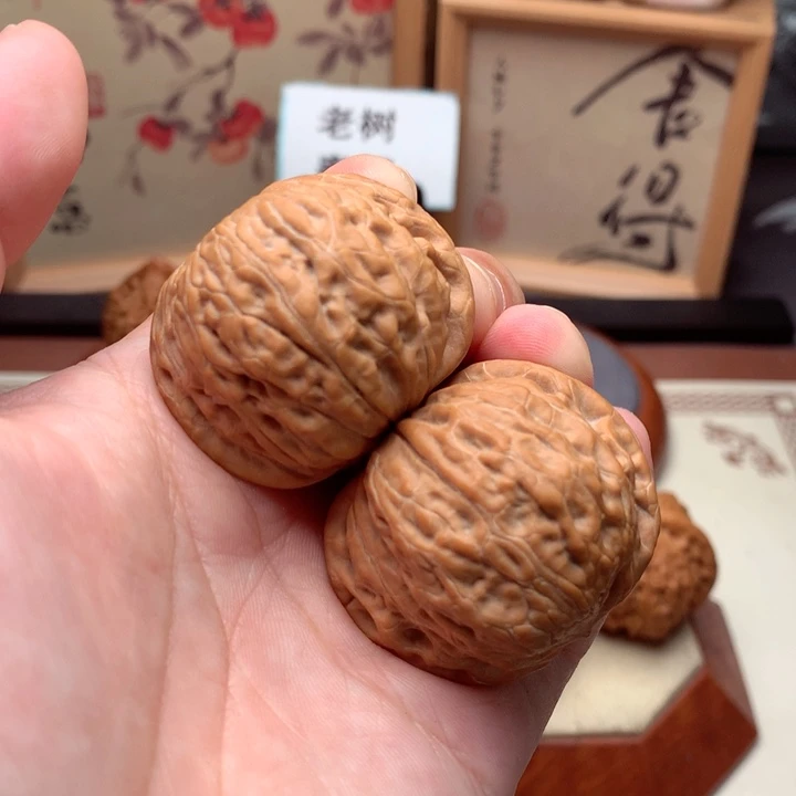 文玩核桃把件小**妹铁锤全品满肉  1号