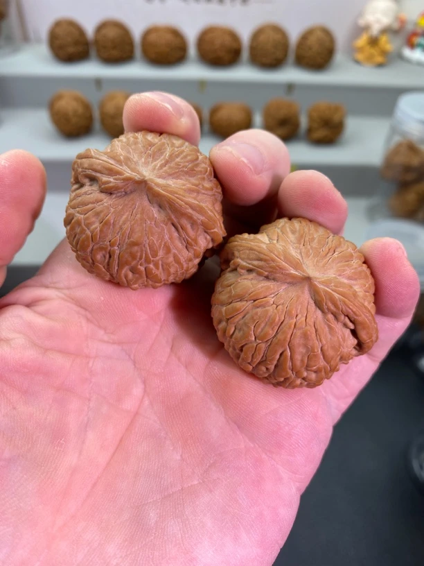 文玩核桃把件全品39平底锅(金蝉子)