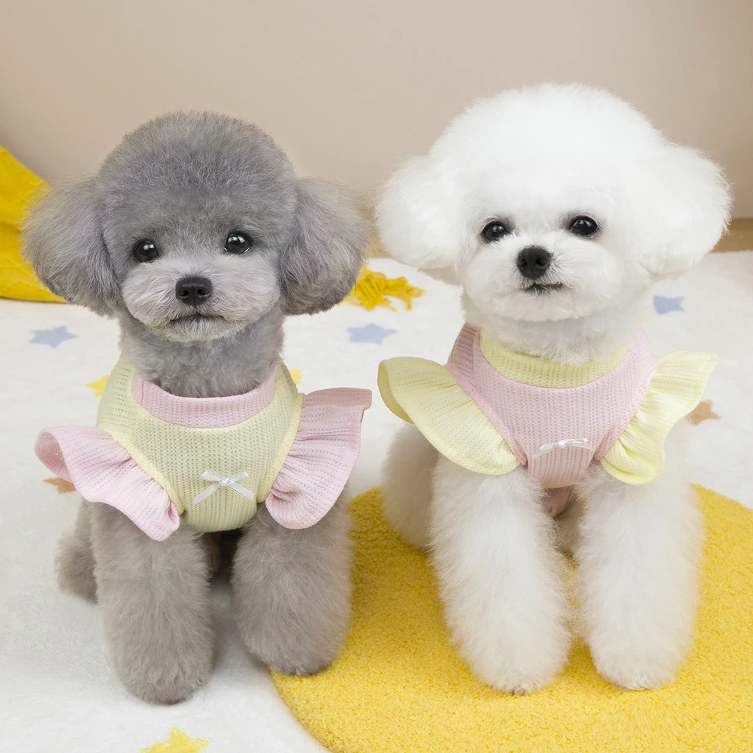 宠物衣服春夏装新款猫咪狗狗衣服泰迪比熊小型犬拼色飞袖背心薄款