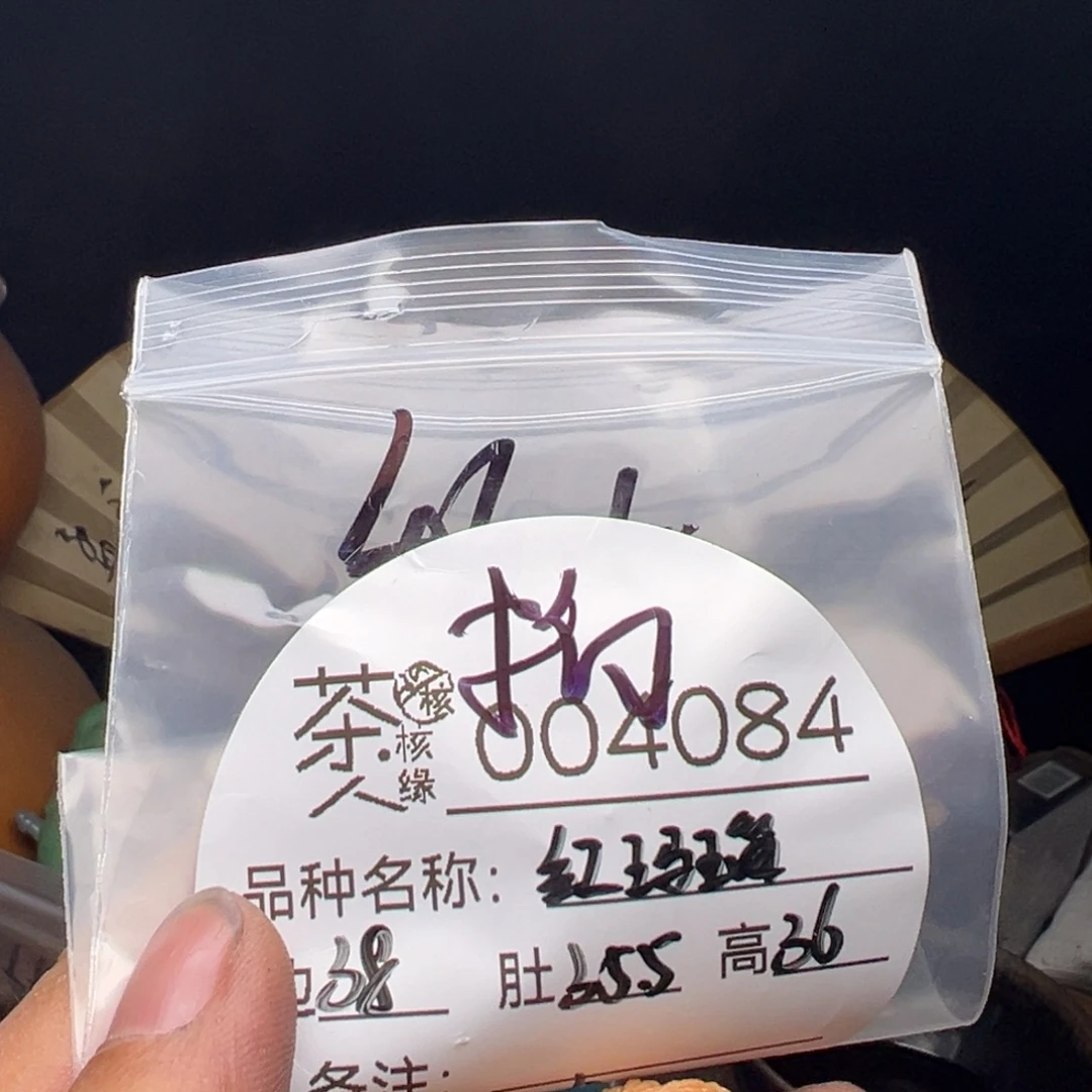 吊坠文玩核桃今天