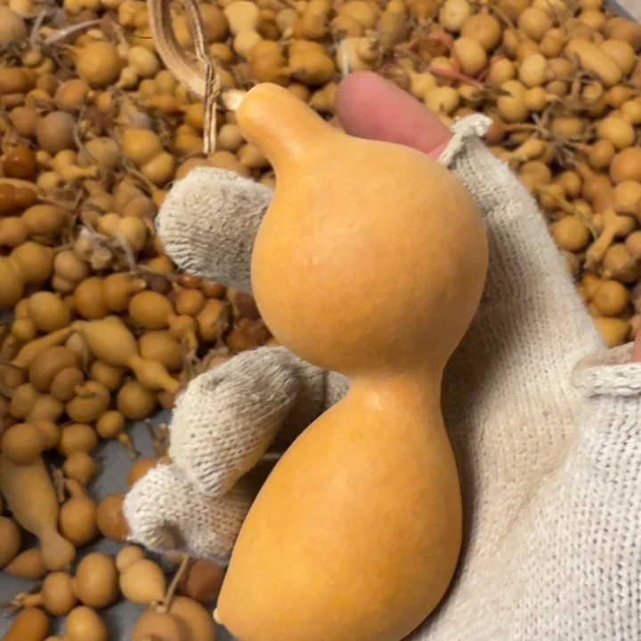 福利价格9.9不退不换小喵姐姐