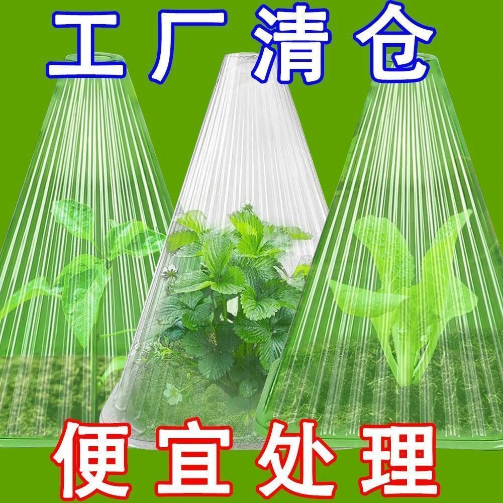 蔬菜植物罩瓜苗菜苗幼苗育苗秧苗大棚育苗保温防虫防鸟防霜保护罩
