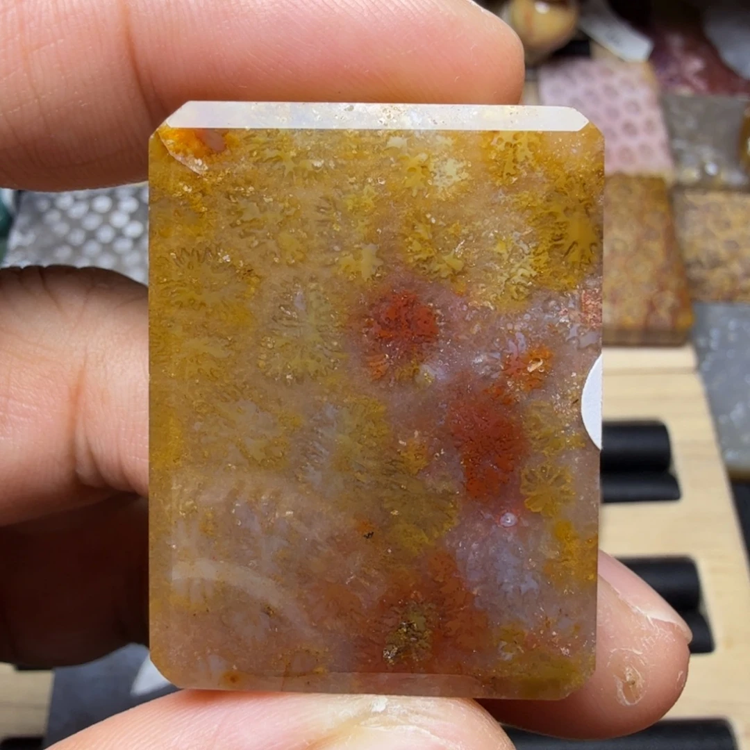 硅化玉未镶嵌纯天然色有机玉石保真色瑕疵特价不退换