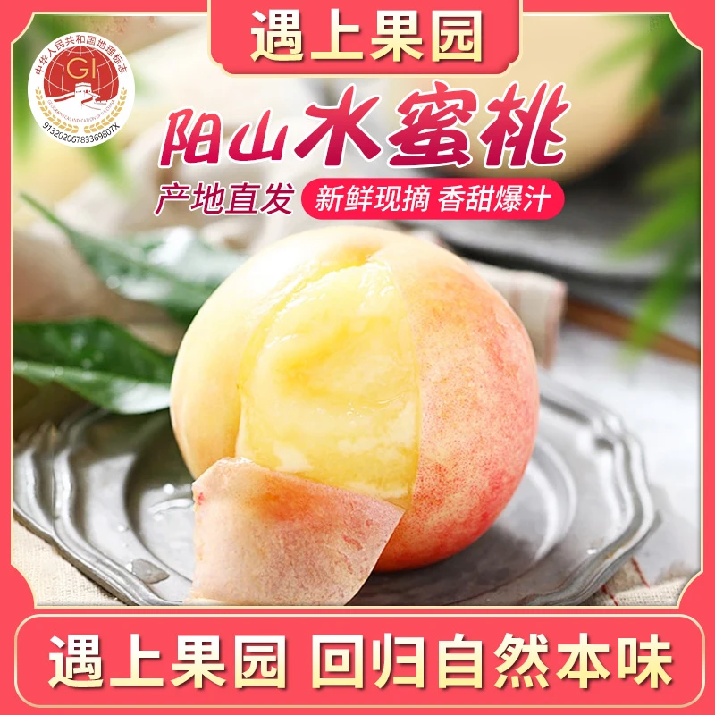 遇上果园【A级果】正宗无锡阳山水蜜桃礼盒装鲜嫩多汁应季新鲜水果