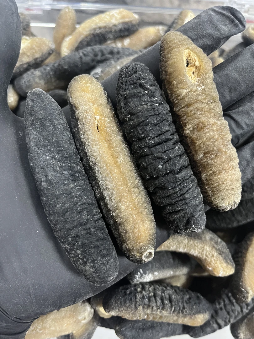 高品质深海天然明秃海参干货