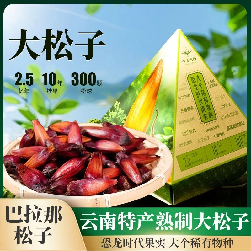 新货巴拉那松子云南特产独立包装新货大颗坚果干果原味休闲零食