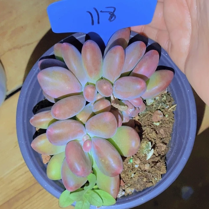 这么久你还是这么累