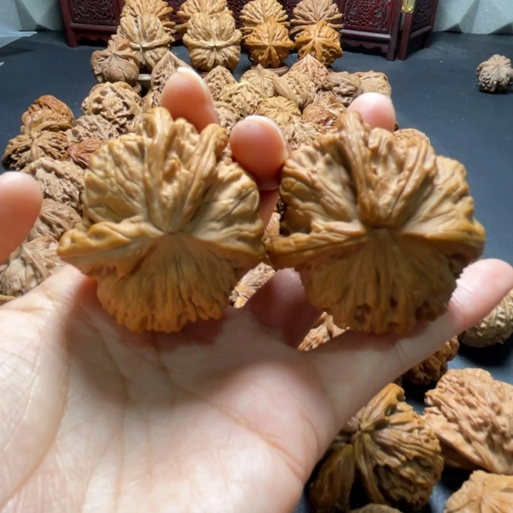 白狮子龙首挂角41尺寸核桃哈哈哈哈哈哈