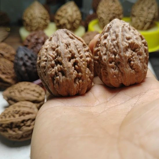 把件文玩核桃东北野生文玩核桃虎头