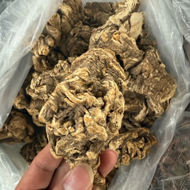【边陲之乡】山货当归头