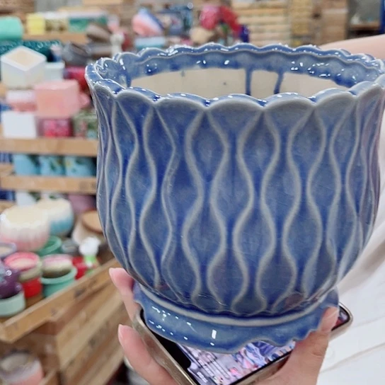 花盆凑单福利满10元发货！