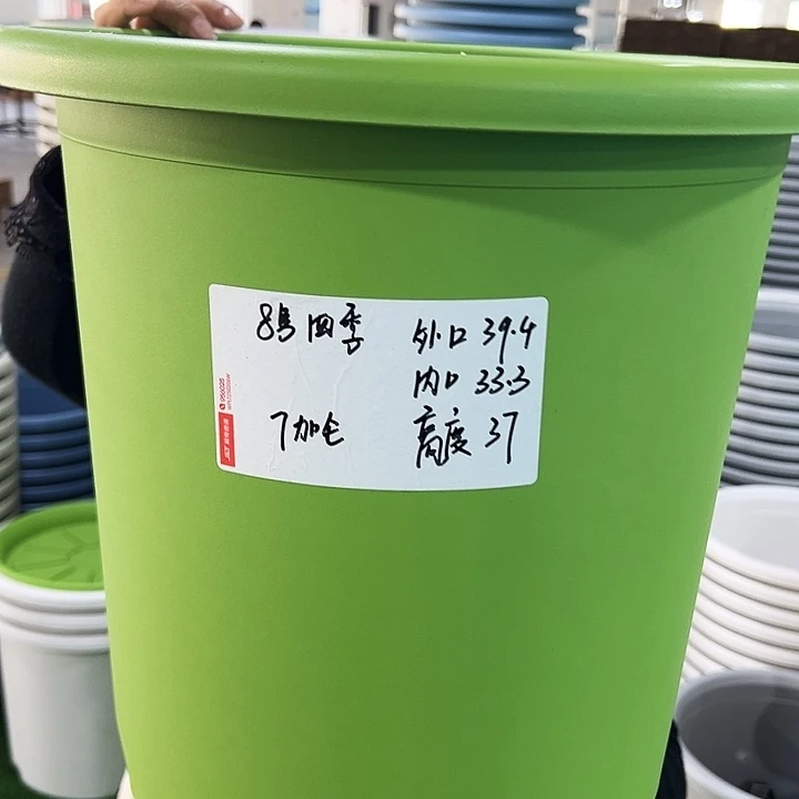 特价8号四季口39.4高37果绿无托5只