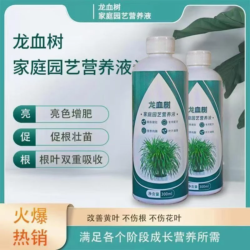 【龙血树专用营养液】增肥催芽防黄叶掉叶枯叶烂根浓缩型营养液耐用