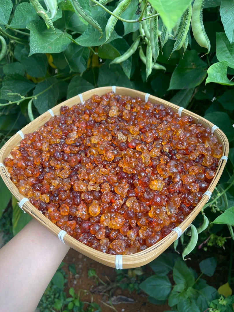 【2】桃胶干货 正品 桃胶 400g