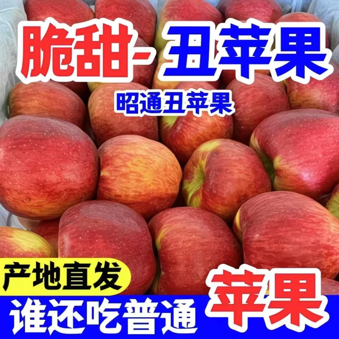 2025云南昭通红露丑苹果新鲜应季脆甜多汁现摘现发水果