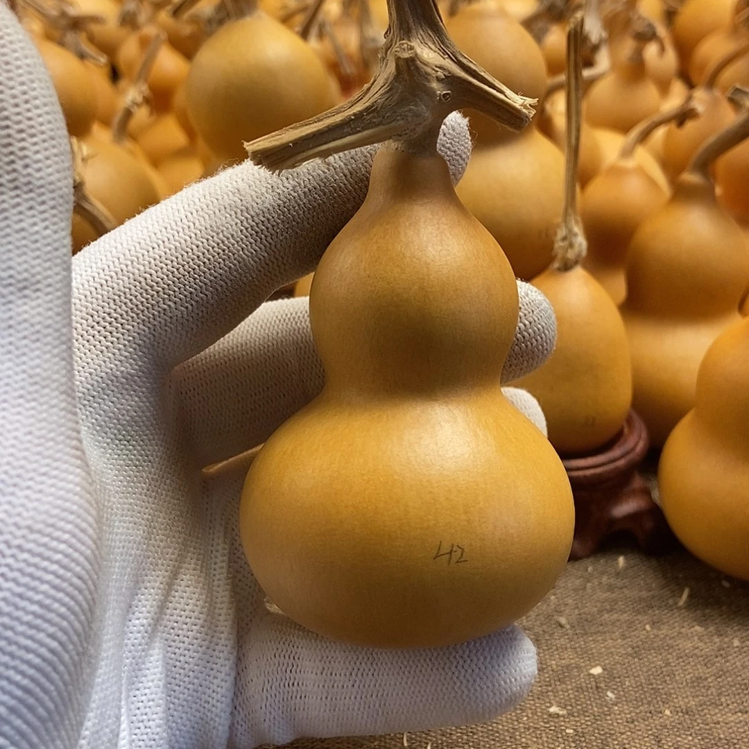 文玩葫芦 完美主义者 慎拍42