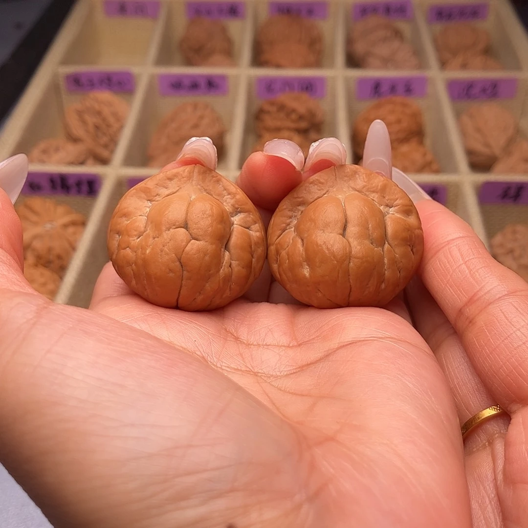 文玩核桃吊坠金刚鹦鹉