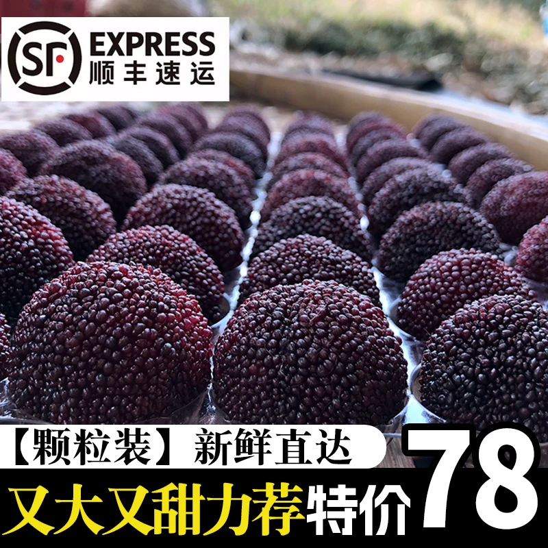 【六斤装】正宗浙江仙居荸荠杨梅新鲜应季水果顺丰快递冷链直达