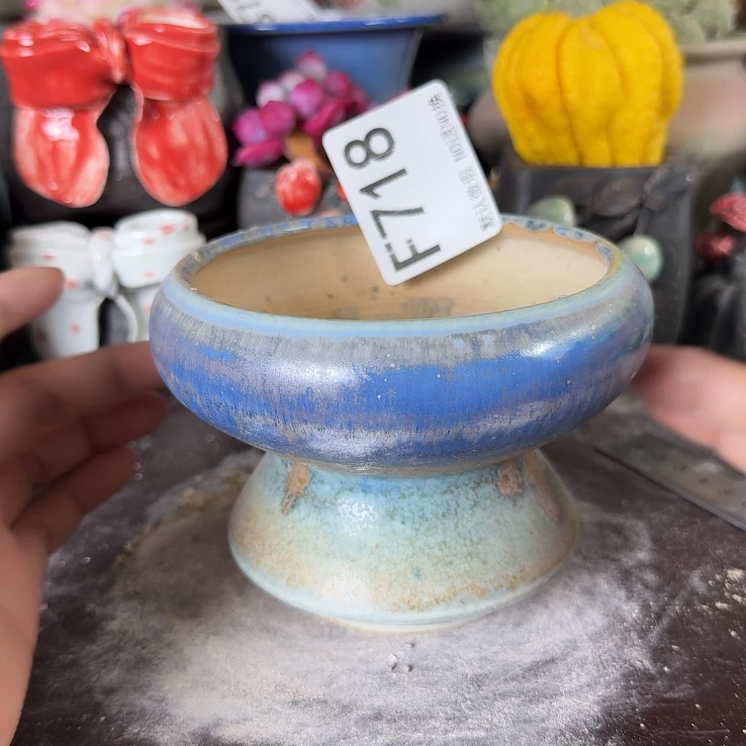 重庆小燕子欢迎大家718