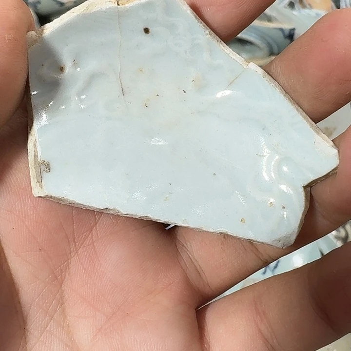 南***霸瓷片瓷片标本,顺丰包邮
