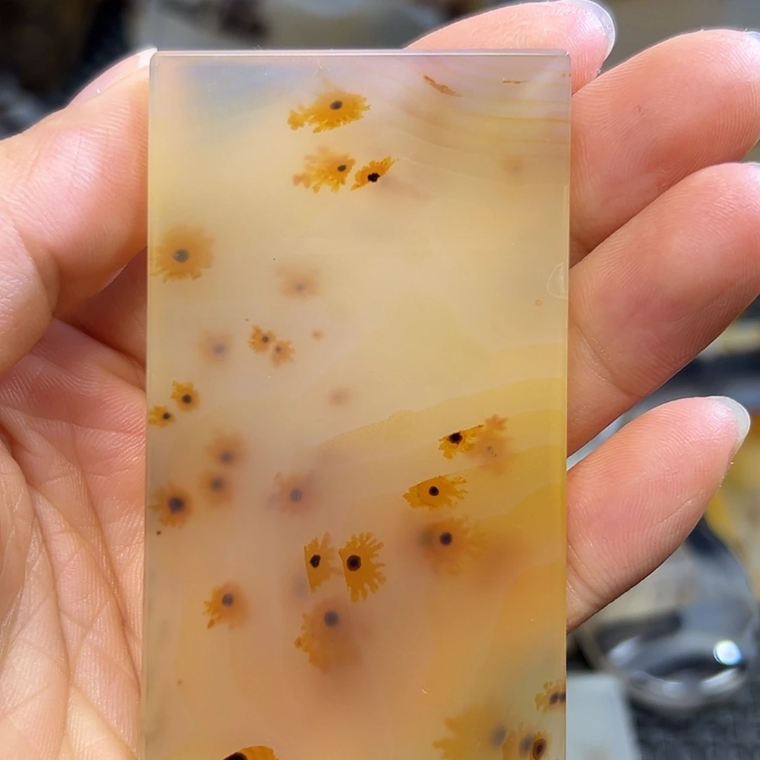 玛瑙/玉髓未镶嵌珠宝半成品