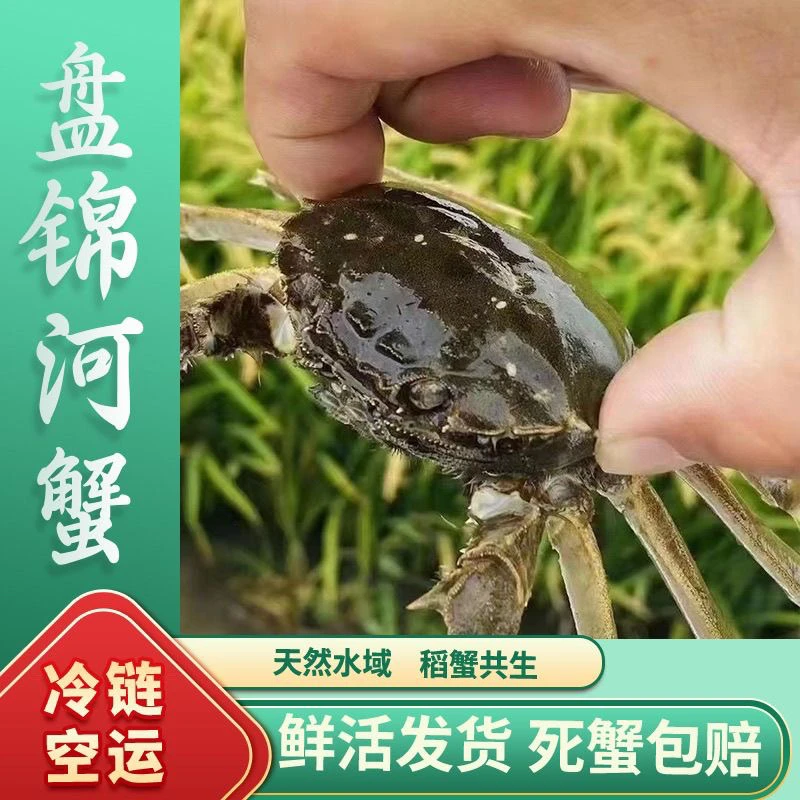 【活蟹】盘锦河蟹（1.4-1.7）两公蟹20只鲜活发货顺丰包邮