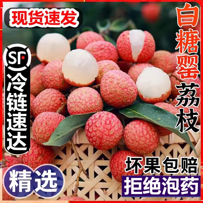 【高州白糖罂】荔枝当季现摘果肉厚实清甜爆汁坏果包赔顺丰冷链发货