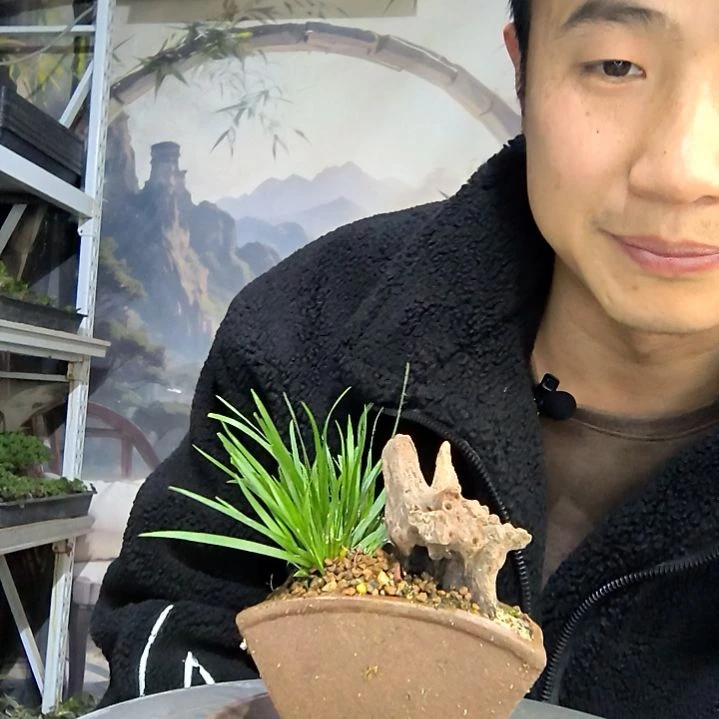 范***拿中青园艺一物一拍花132