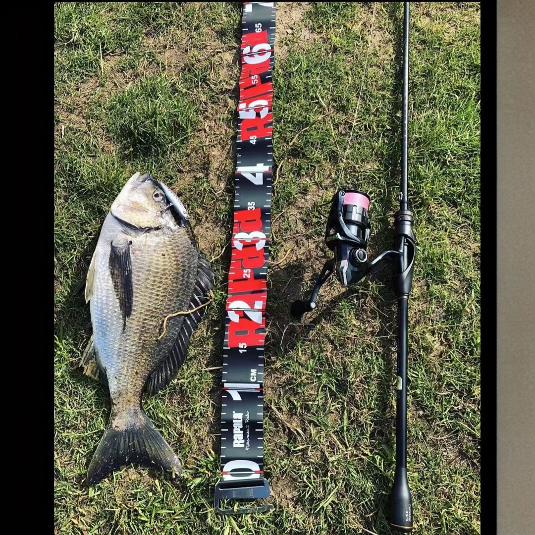 中古精选路亚竿 淡海水渔具 （实物以直播间讲解为准）