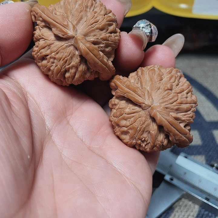 文玩核桃把件白狮子43