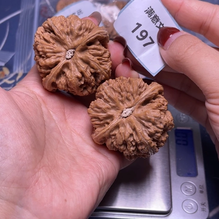 文玩核桃把件粗筋50.197