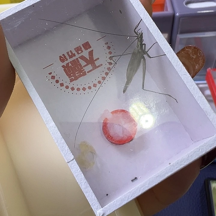 越***扉哈哈哈哈哈哈给哈哈哈哈
